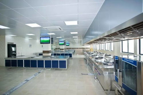 医食商的“三味” 个人护理电器在现代学院教育中的融合创新