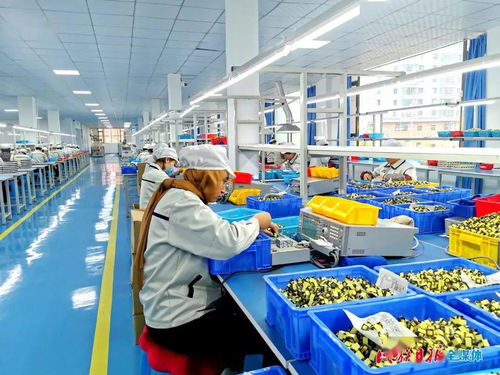 康乐县电子产业迎新篇 科司特个人护理电器生产步入正轨
